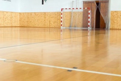1648-basketbal-10