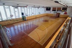 1650-basketbal-04