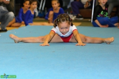 2559-jeseniocup-2014