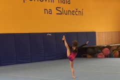 IMG_0710a