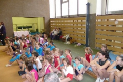 5036-gymnastika-jesenius-cup-2010