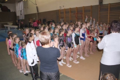 2946-mezinarodni-zavod-jesenio-cup-2012