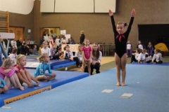 3119-mezinarodni-zavod-jesenio-cup-2012