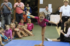 3503-mezinarodni-zavod-jesenio-cup-2012