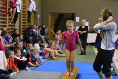 3517-mezinarodni-zavod-jesenio-cup-2012