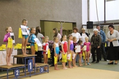 3547-mezinarodni-zavod-jesenio-cup-2012