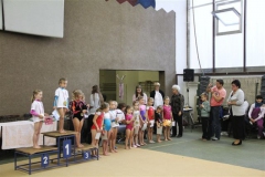 3626-mezinarodni-zavod-jesenio-cup-2012