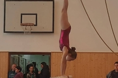 Foto_12