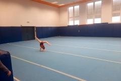 Foto_19